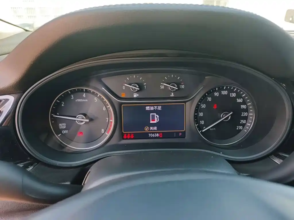 Buick Regal — миниатюра 12