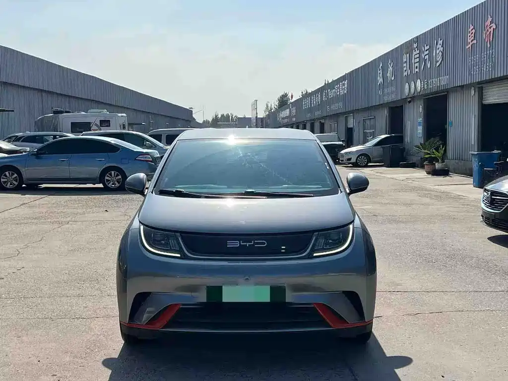 BYD Dolphin — миниатюра 2