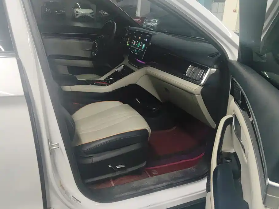 BYD PLUS New Energy — миниатюра 8