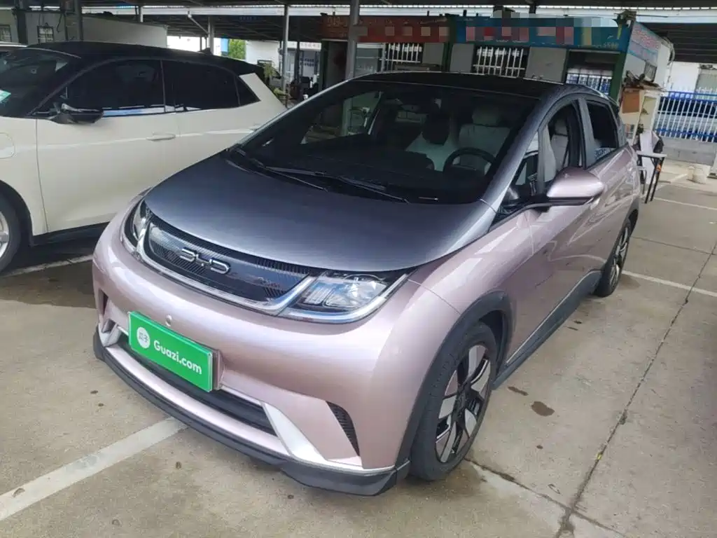 BYD Dolphin — миниатюра 2