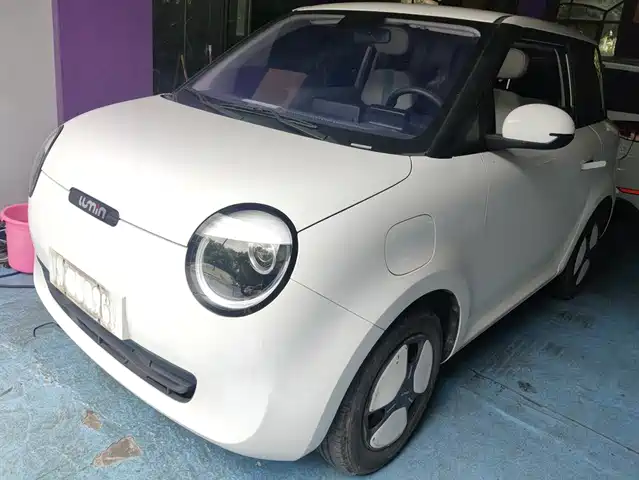 2022 Changan Lumin