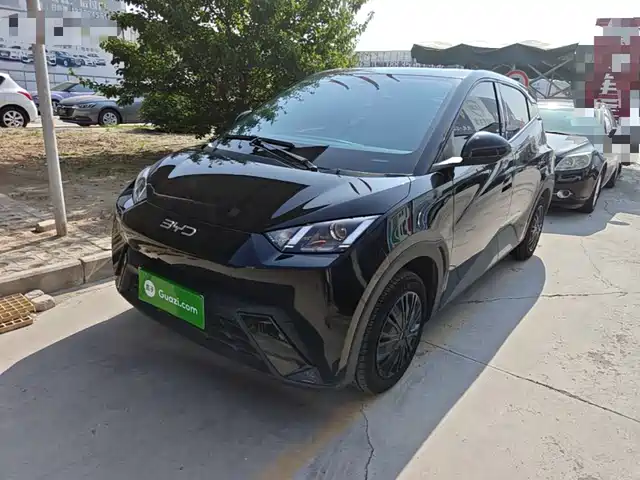 2024 BYD Seagull