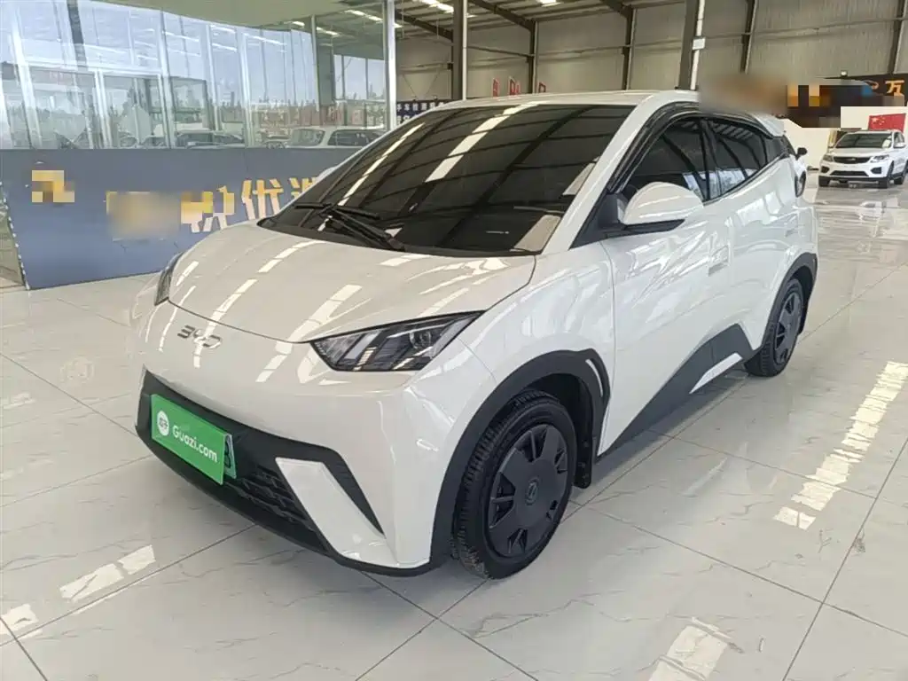 Byd Seagull 2025