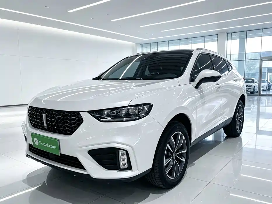 Wey Wey VV5 — миниатюра 2