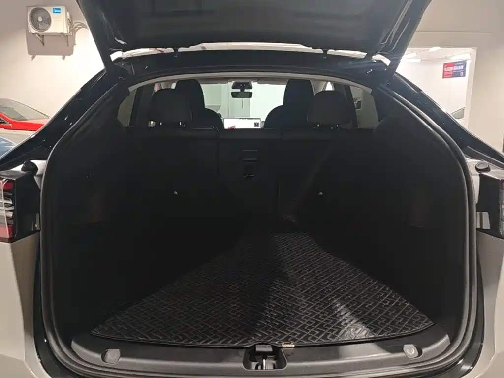 Tesla Model Y — миниатюра 19