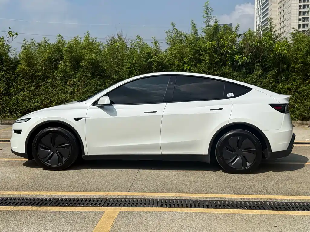 Tesla Model Y — миниатюра 15