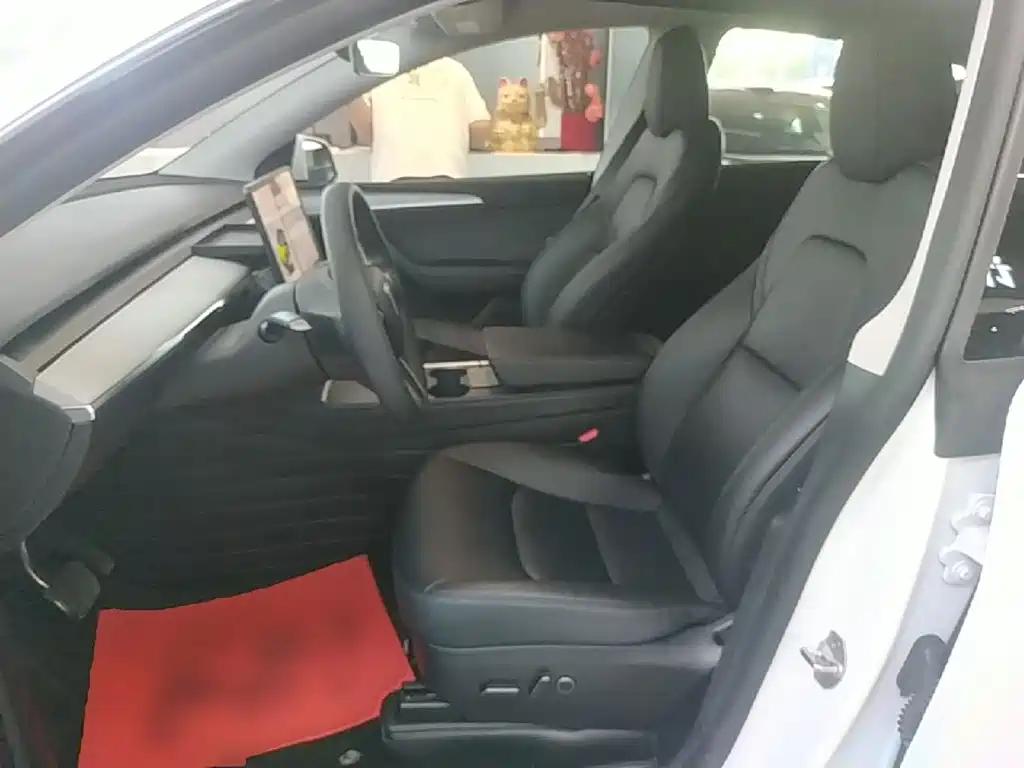 Tesla Model Y — миниатюра 15