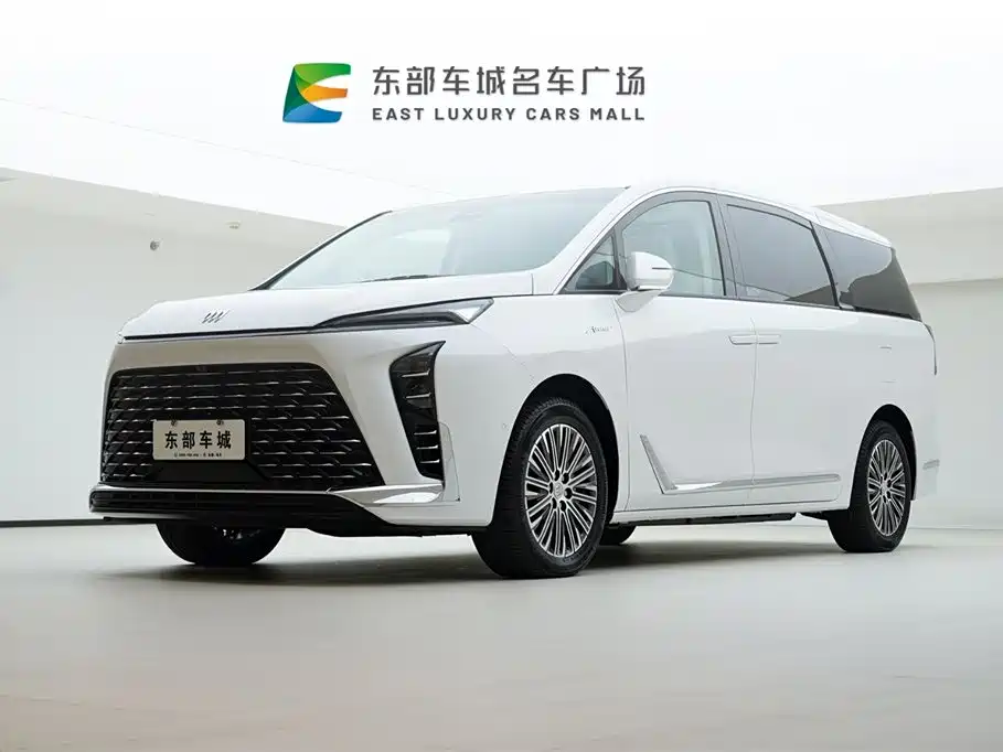 BUICK GL8 NEW ENERGY