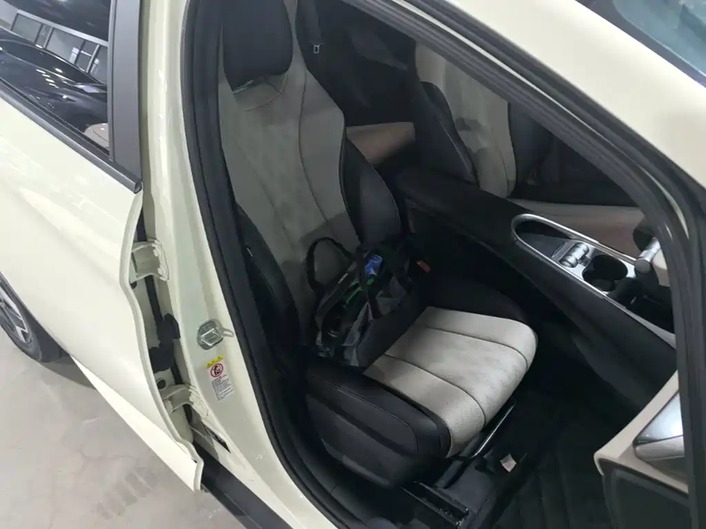 BYD Dolphin — миниатюра 25