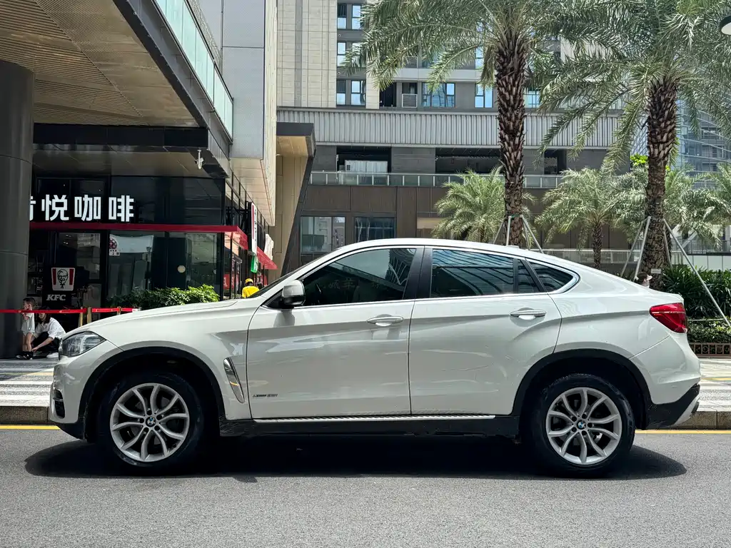 BMW X6 — миниатюра 17