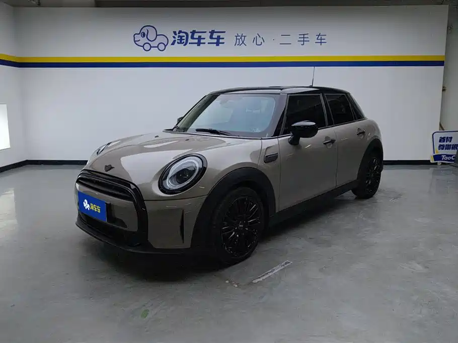 Mini Mini 2021
