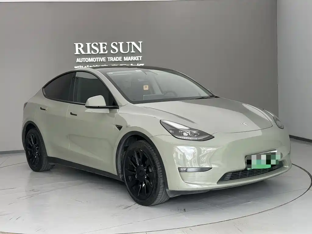 Tesla Model Y — миниатюра 3