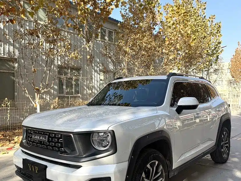 Haval Big Dog 2022