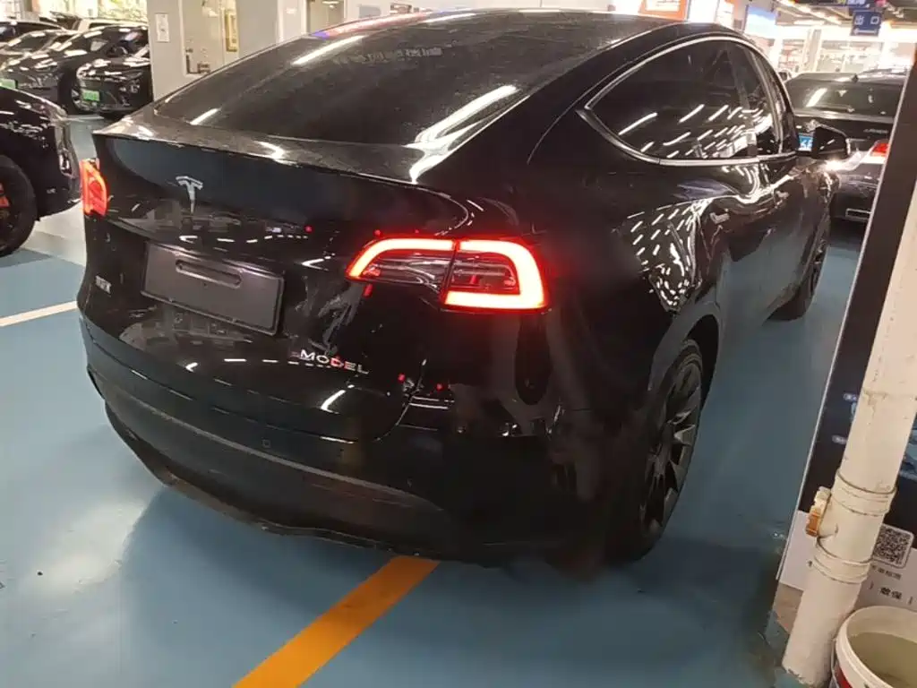 Tesla Model Y — миниатюра 7