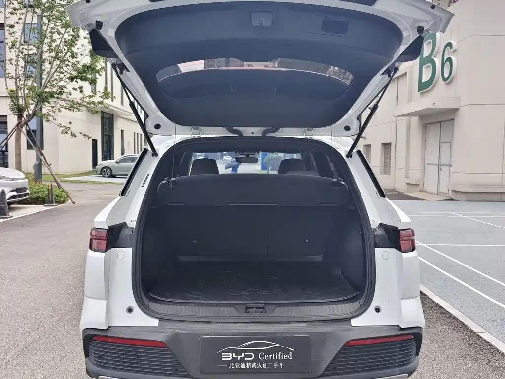 BYD Pro New Energy — миниатюра 11