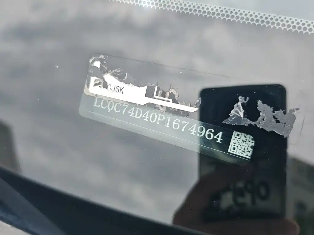 BYD Pro New Energy — миниатюра 18