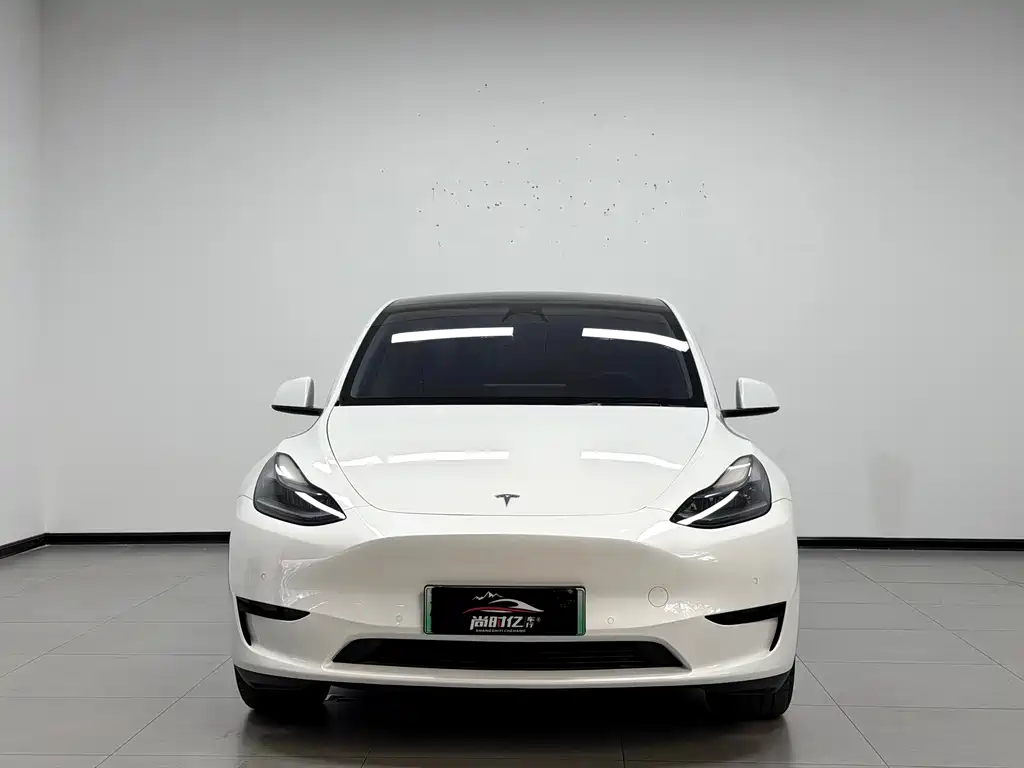 Tesla Model Y — миниатюра 2