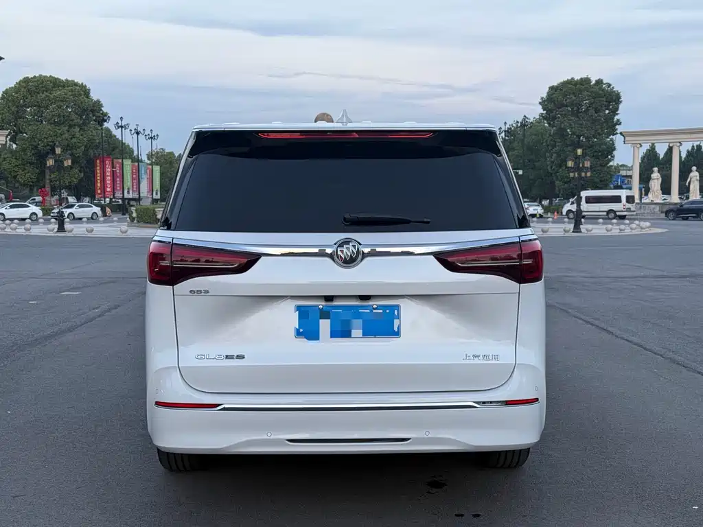 Buick GL8 — миниатюра 15