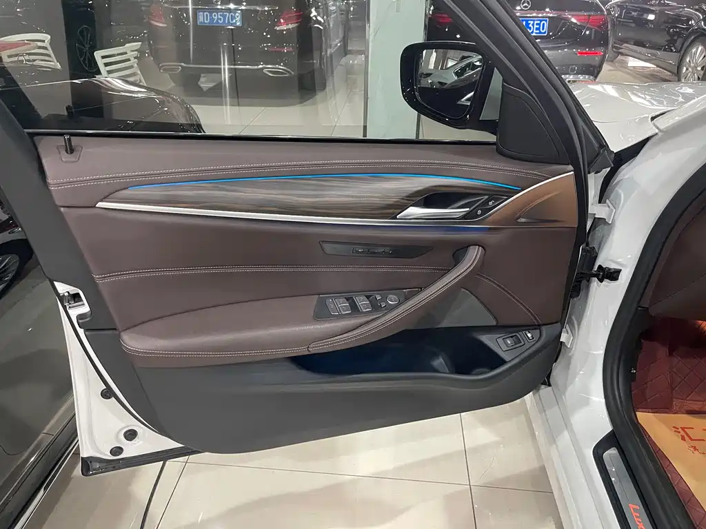 BMW 5 SERIES NEW ENERGY