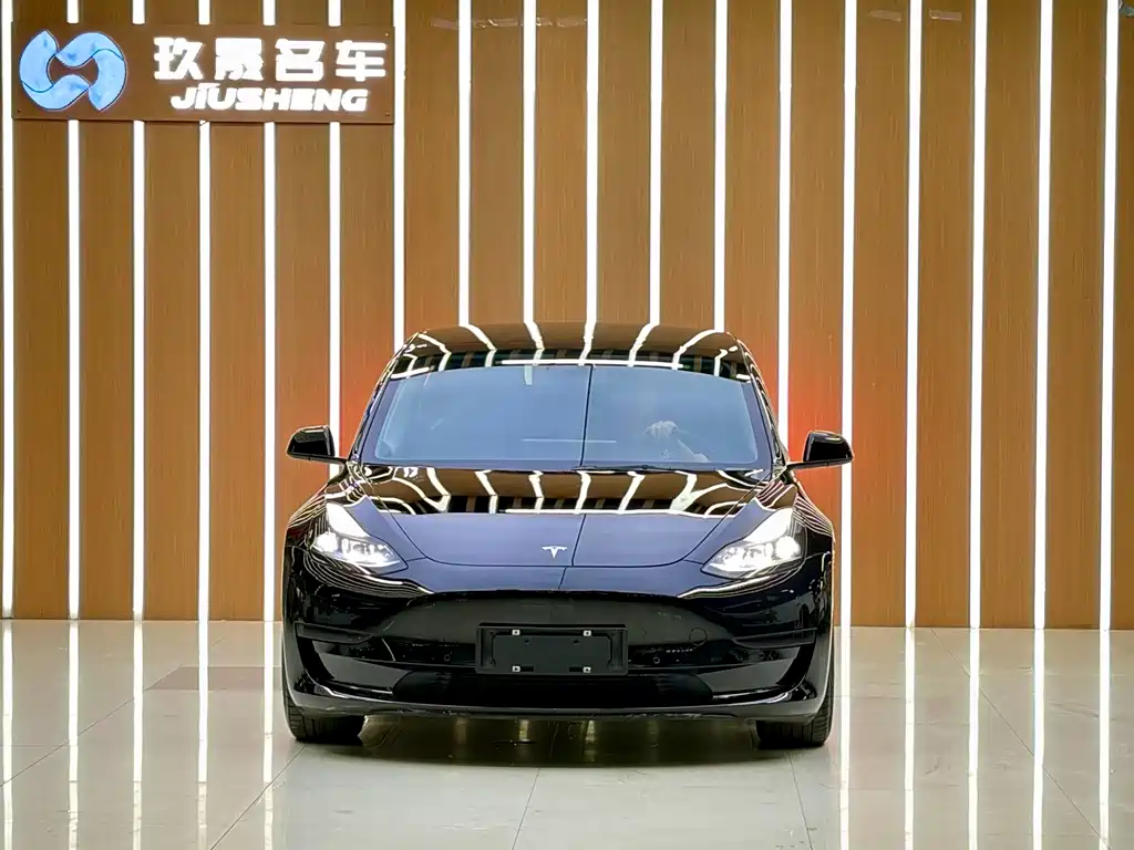 Tesla Model 3 — миниатюра 2