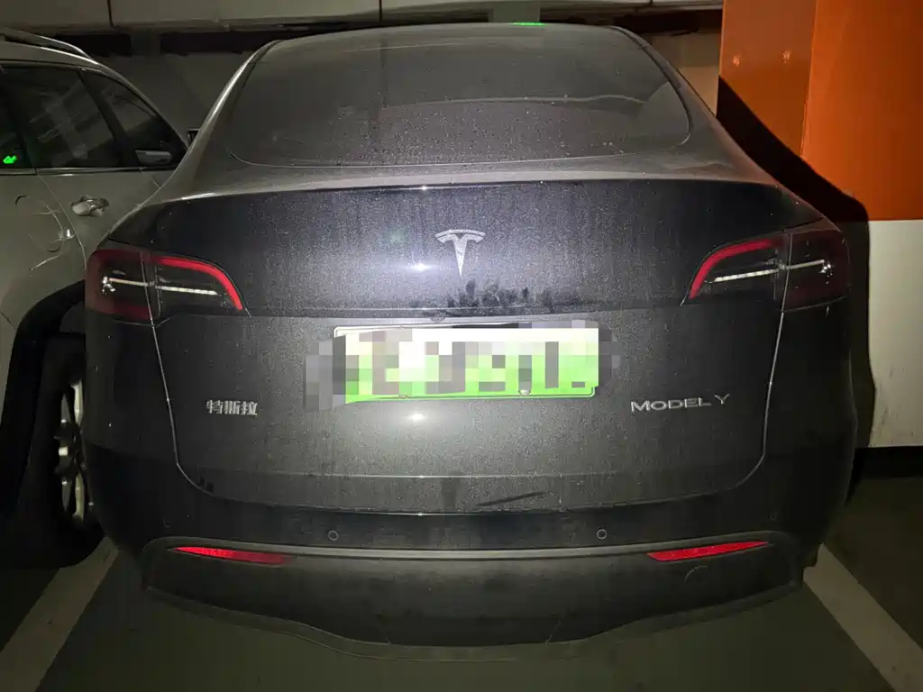 Tesla Model Y — миниатюра 5