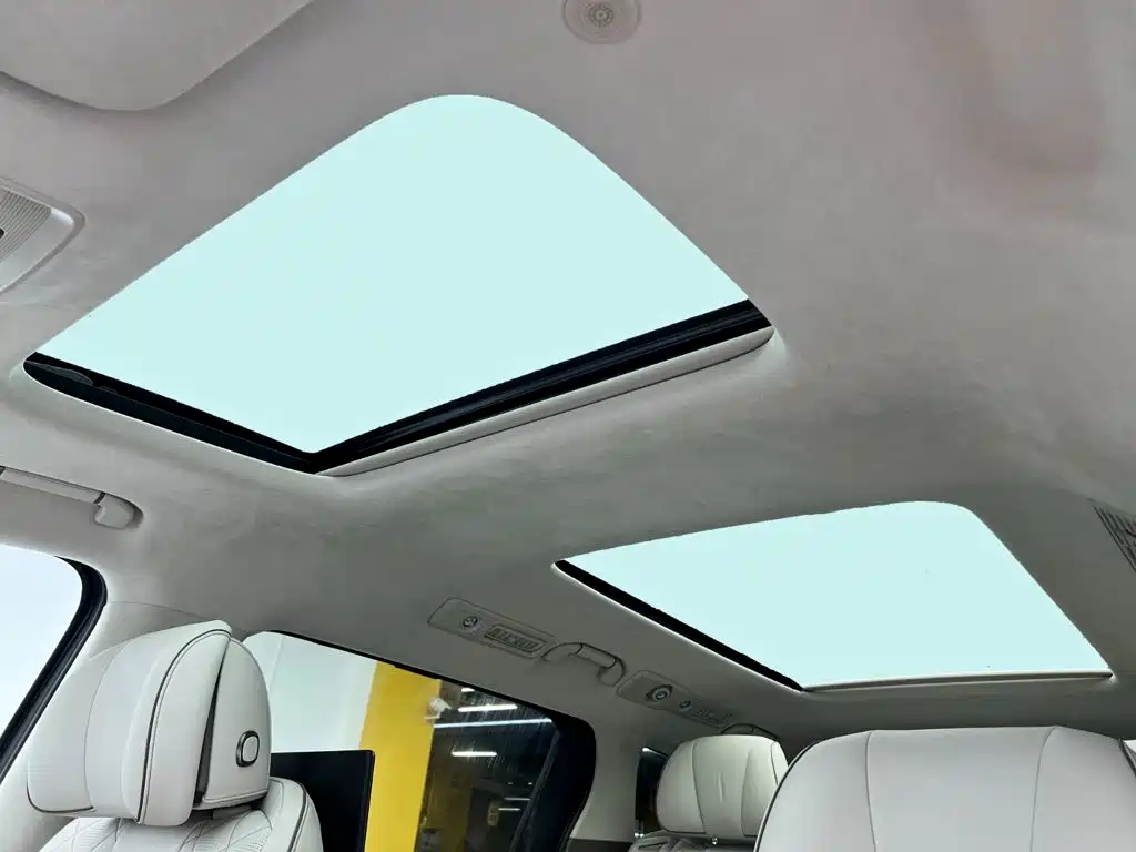 Denza Denza D9 — миниатюра 19