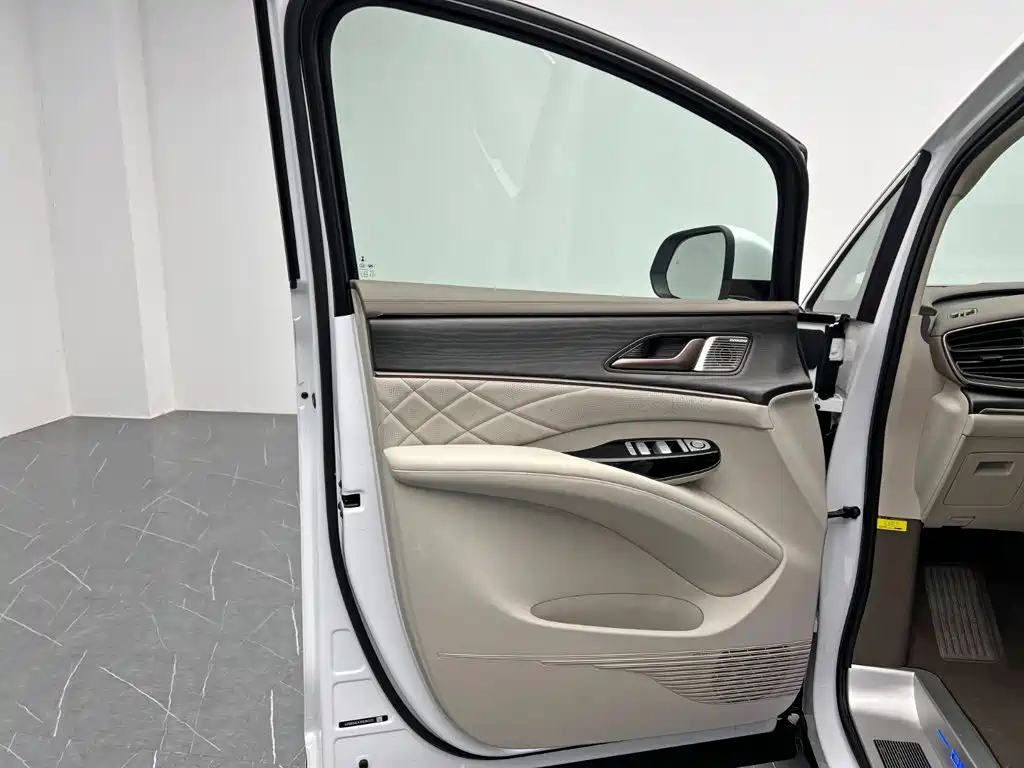 Denza Denza D9 — миниатюра 12