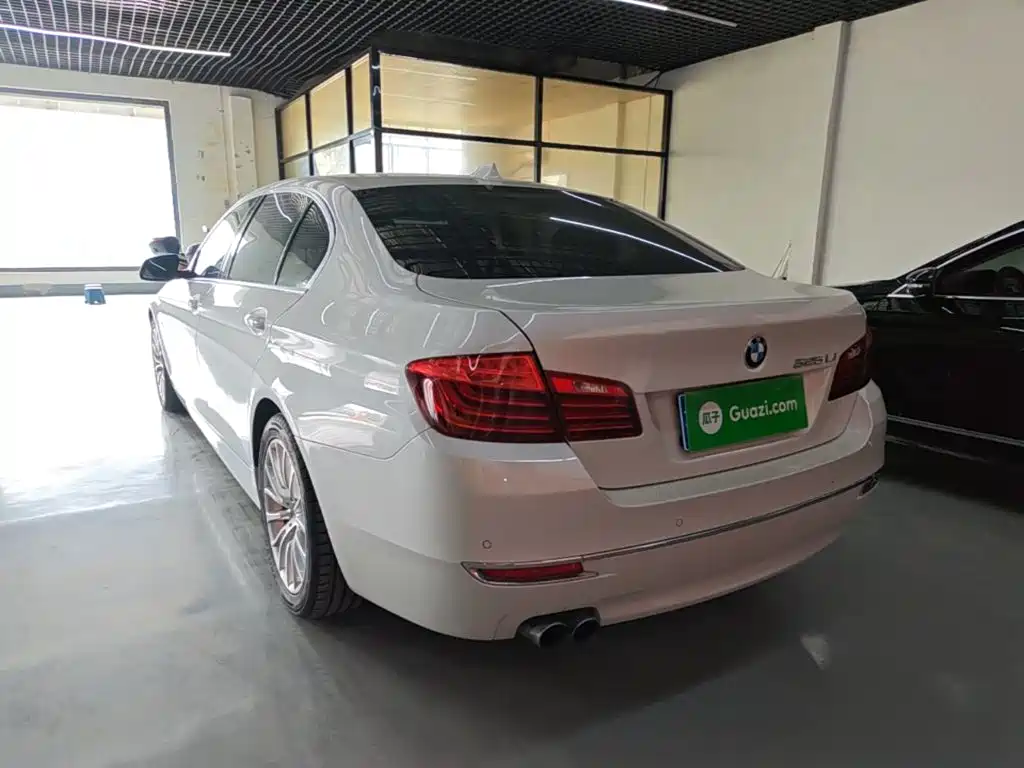 BMW 5 Series — миниатюра 5