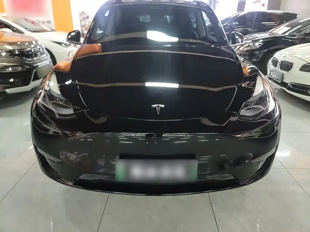 Tesla Model Y — миниатюра 3