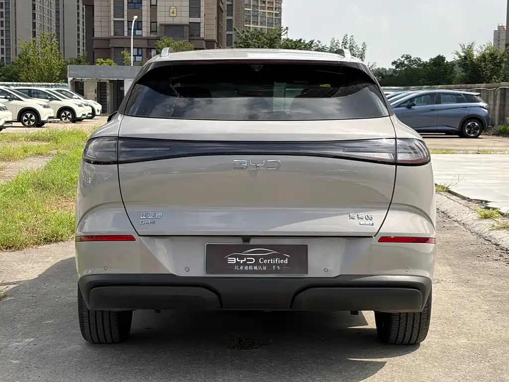 BYD Haisi 06 — миниатюра 5