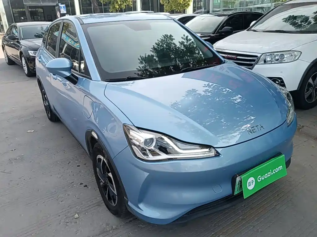 Neta Neta V — миниатюра 4