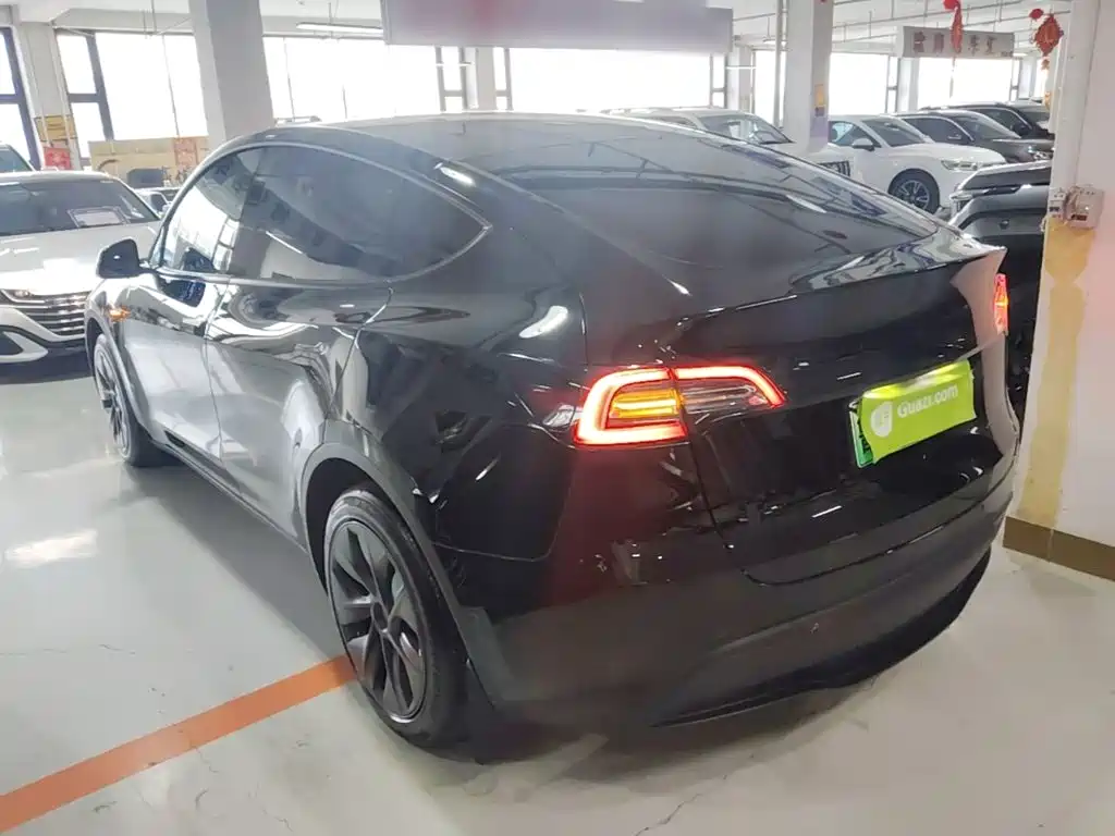 Tesla Model Y — миниатюра 5