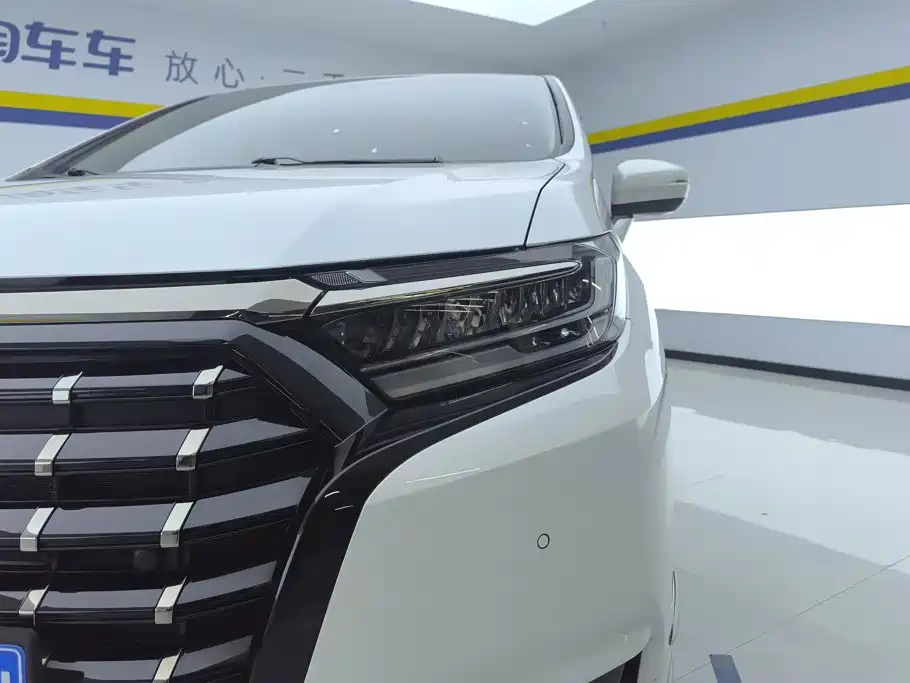 Honda Elysion — миниатюра 5