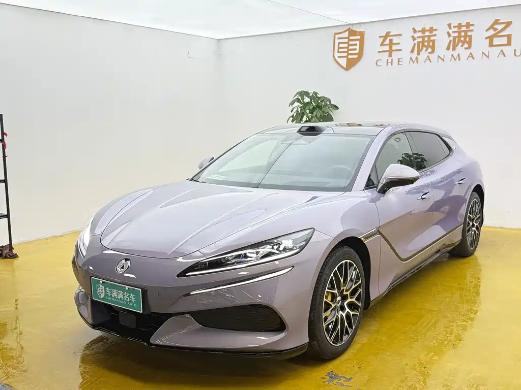 Denza Denza Z9GT