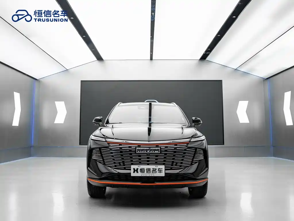 Haval Shenshou — миниатюра 2
