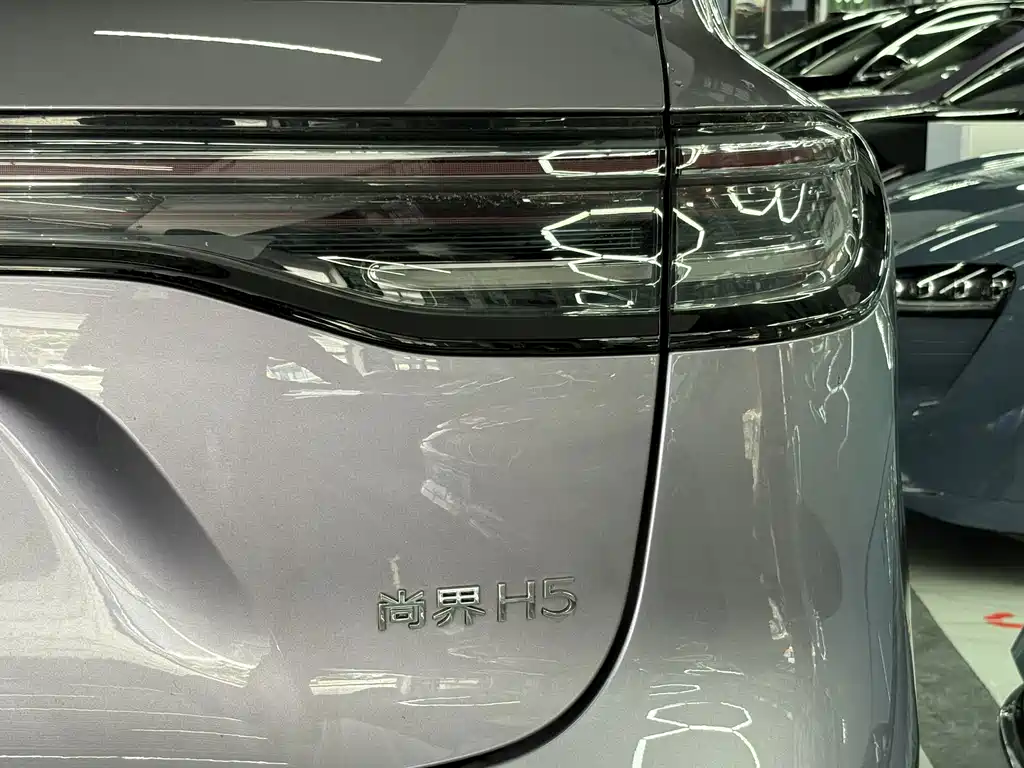 Сангтан Sangtang H5 — миниатюра 15