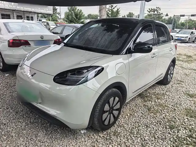 WULING AUTOMOBILE WULING BINGGUO 2024