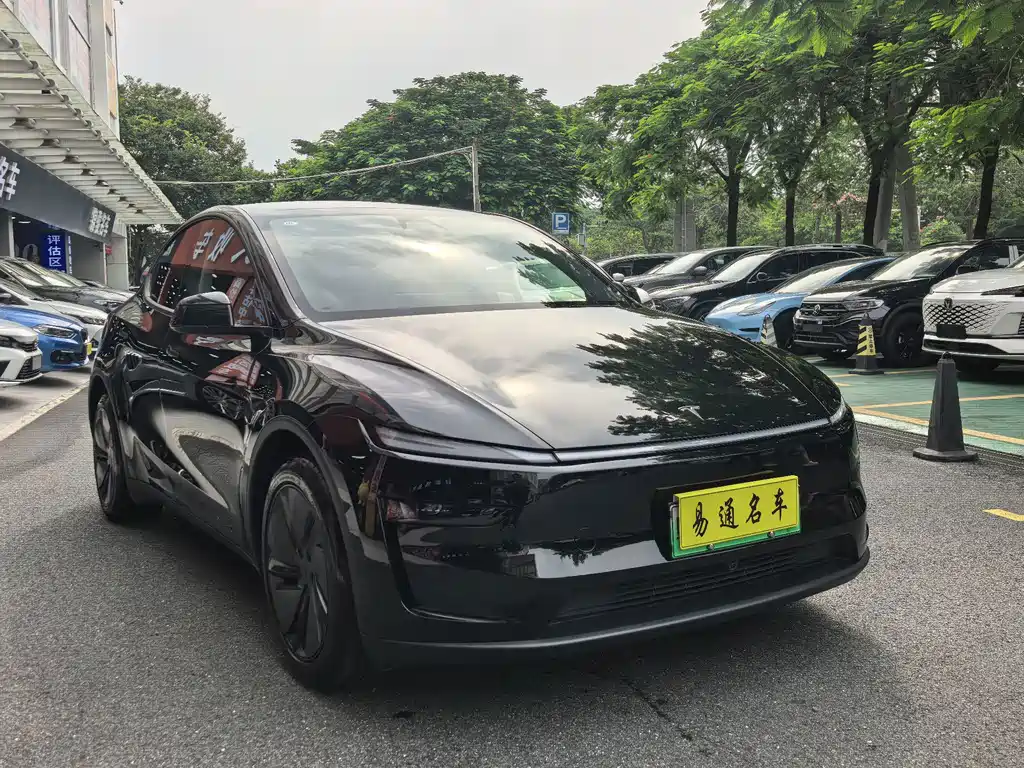 Tesla Model Y — миниатюра 2