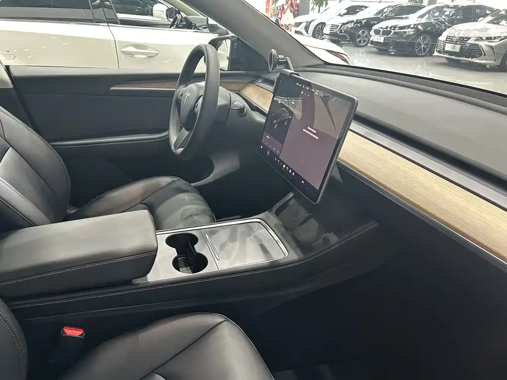 Tesla Model Y — миниатюра 12
