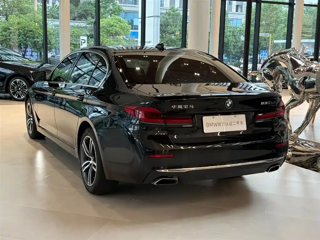 BMW 5 Series — миниатюра 4