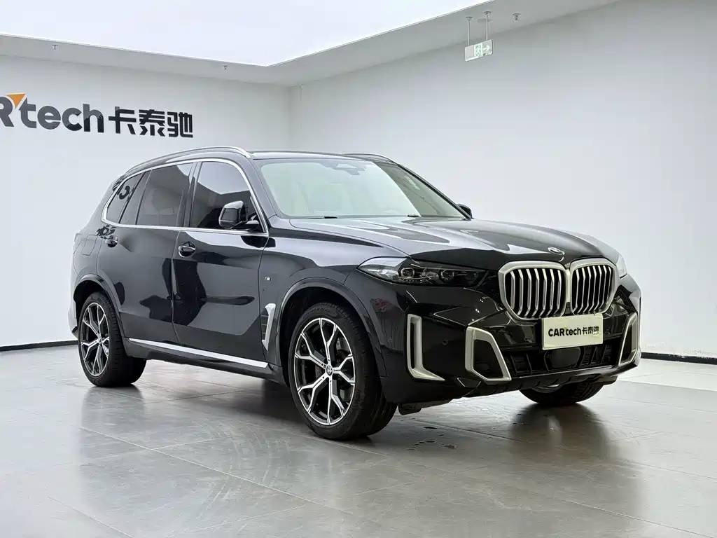 BMW X5 — миниатюра 12