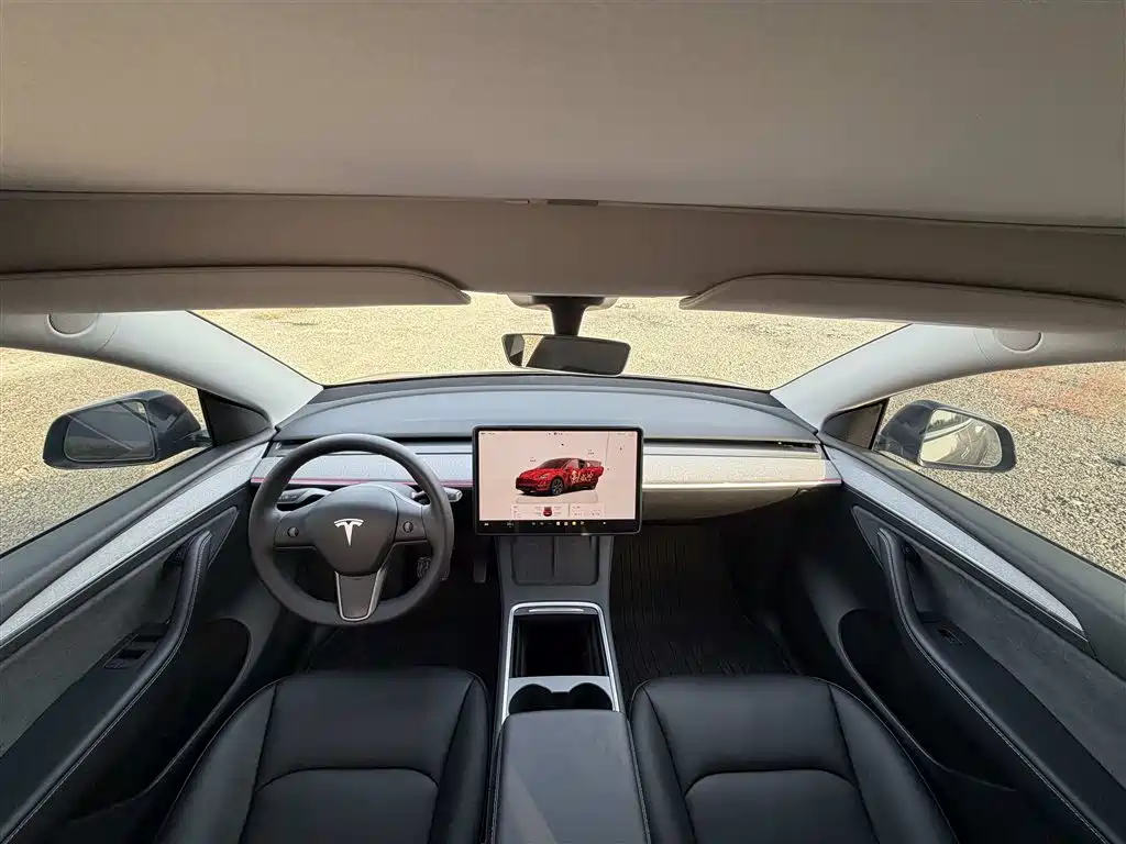 Tesla Model Y — миниатюра 10