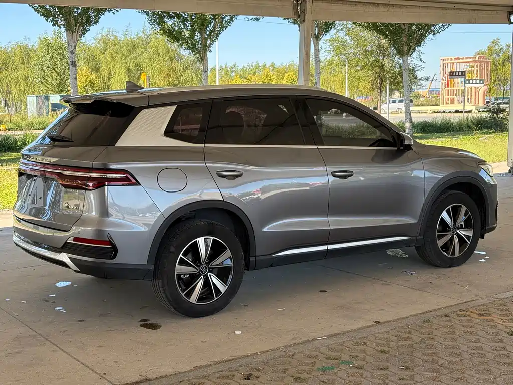 BYD Pro New Energy — миниатюра 7