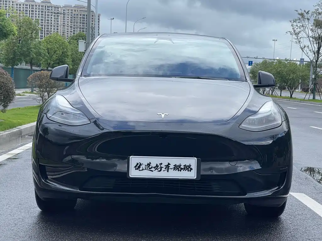 Tesla Model Y — миниатюра 2