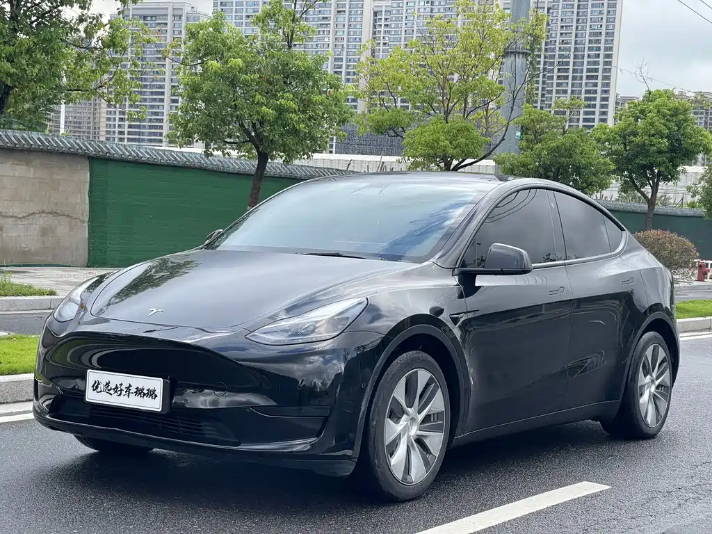 Tesla Model Y — миниатюра 3