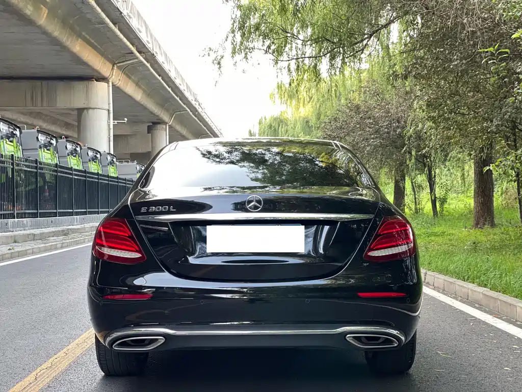 Mercedes-Benz E-Class E 2020 E 300 L