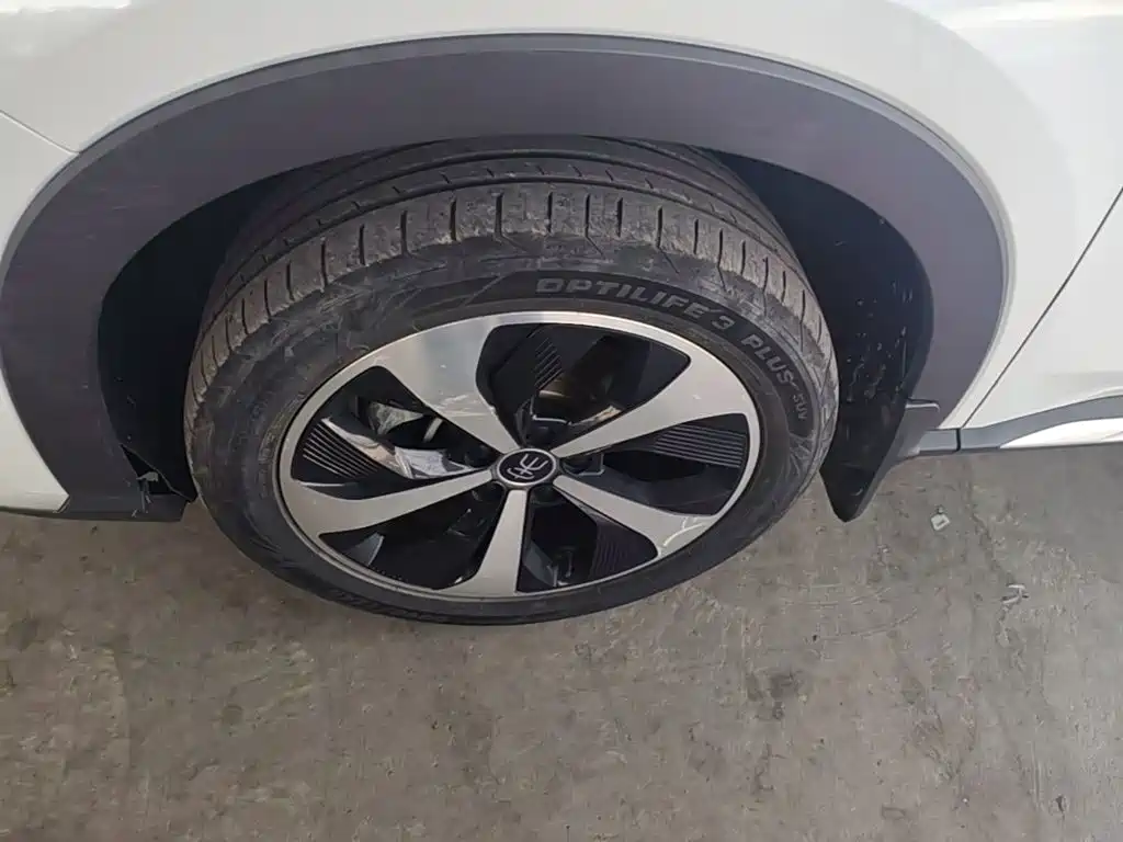 BYD PLUS New Energy — миниатюра 23