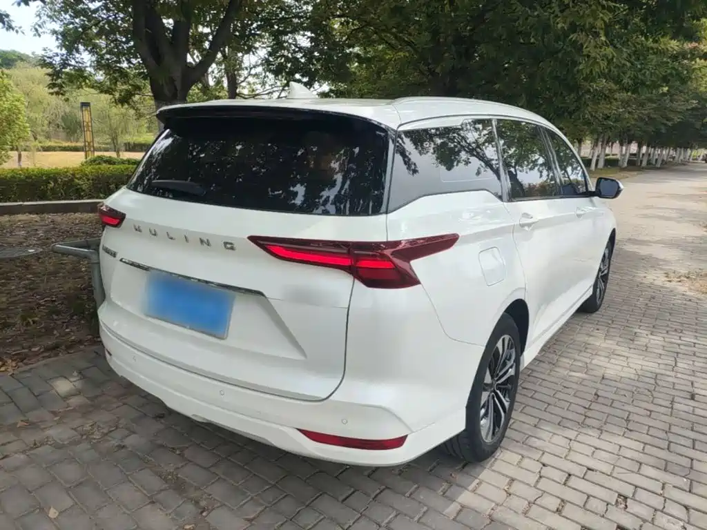 Wuling Victory — миниатюра 7