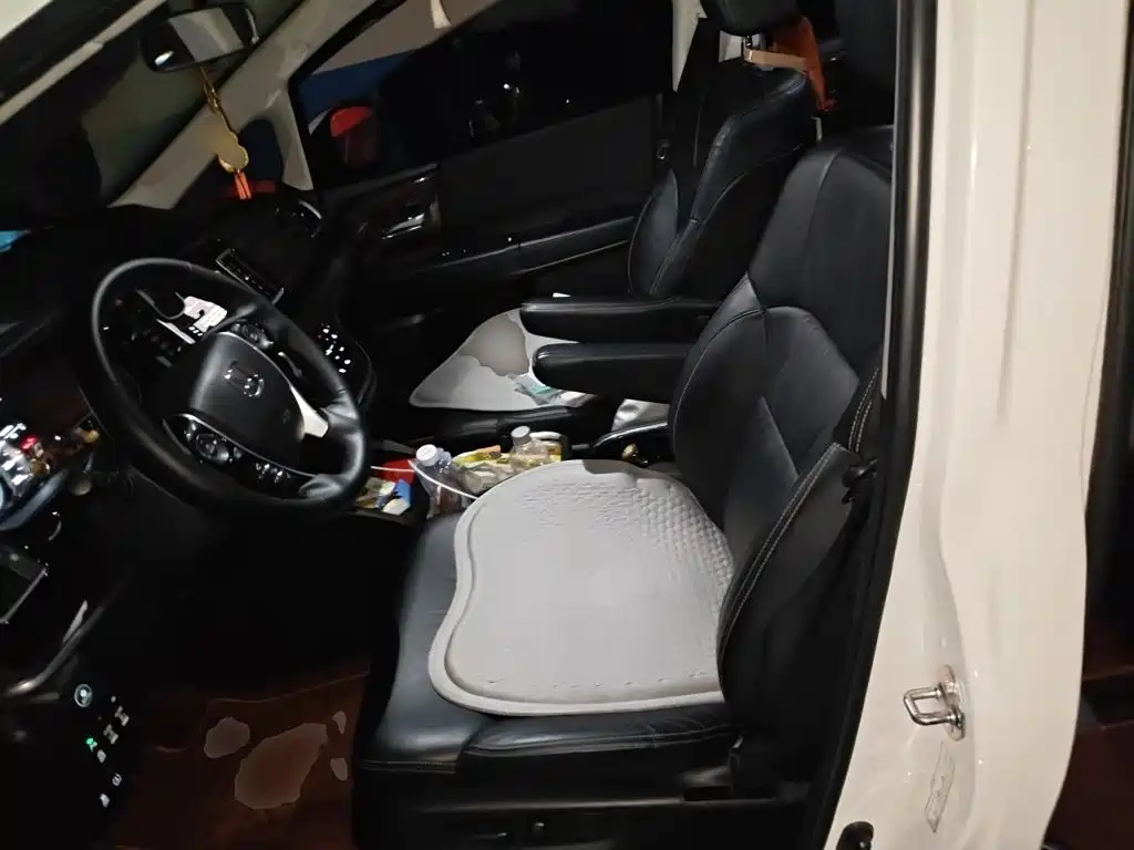 Honda Elysion — миниатюра 11