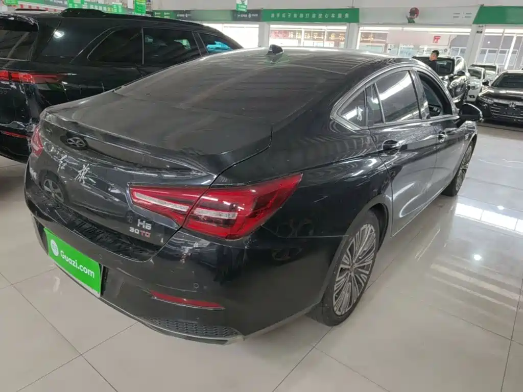 Hongqi Hongqi H5 — миниатюра 7